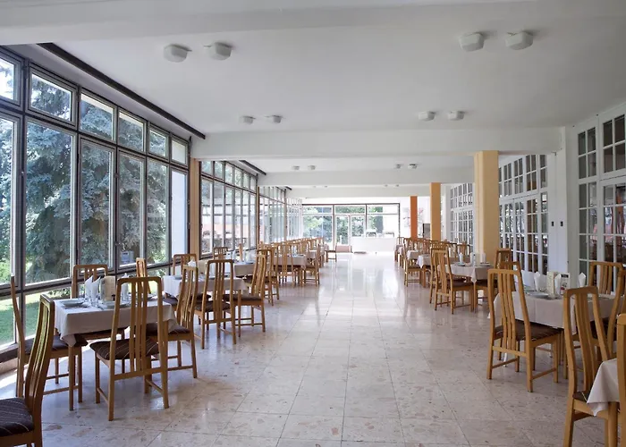 Hotel Holiday Csopak 3* تشوباك